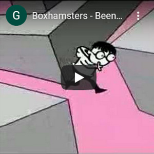 Animation Hanau Boxhamsters